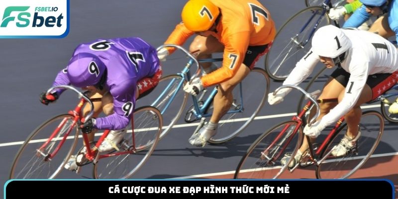 Cá cược đua xe đạp hình thức mới mẻ