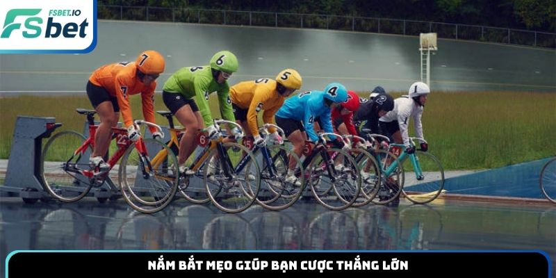 Nắm bắt mẹo giúp bạn cược thắng lớn