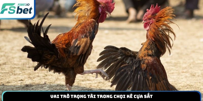 Vai trò trọng tài trong chọi kê cựa sắt