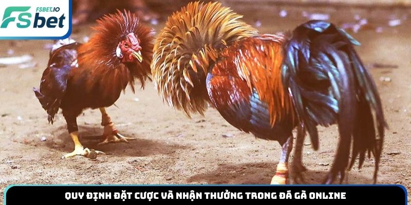 Quy định đặt cược và nhận thưởng trong đá gà online