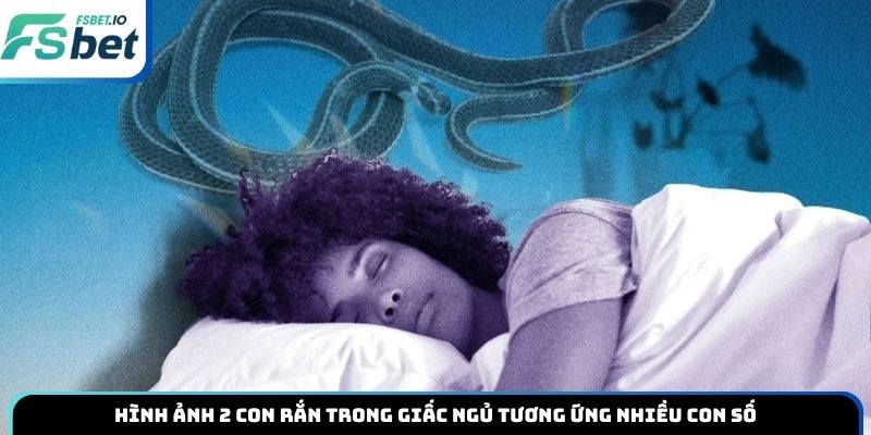 Hình ảnh 2 con rắn trong giấc ngủ tương ứng nhiều con số